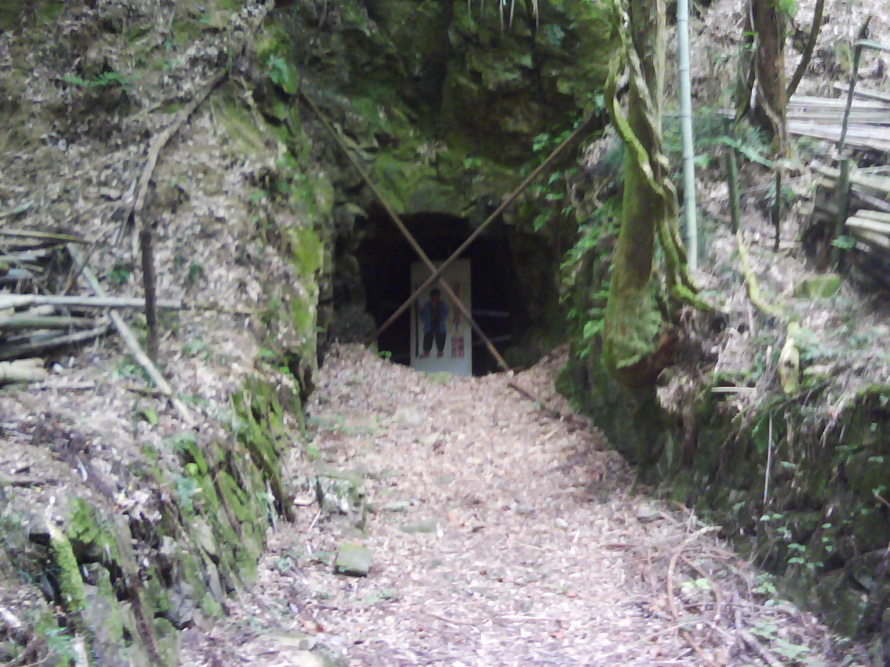 f0150767_10575352.jpg