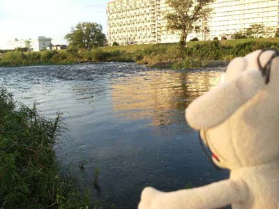 c0158573_9295810.jpg