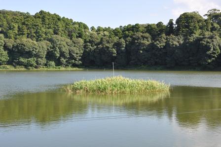 d0163073_10645100.jpg