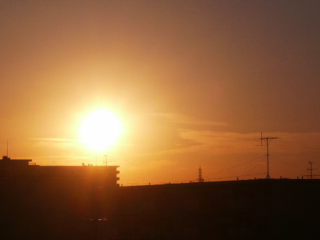 d0147774_08420.jpg