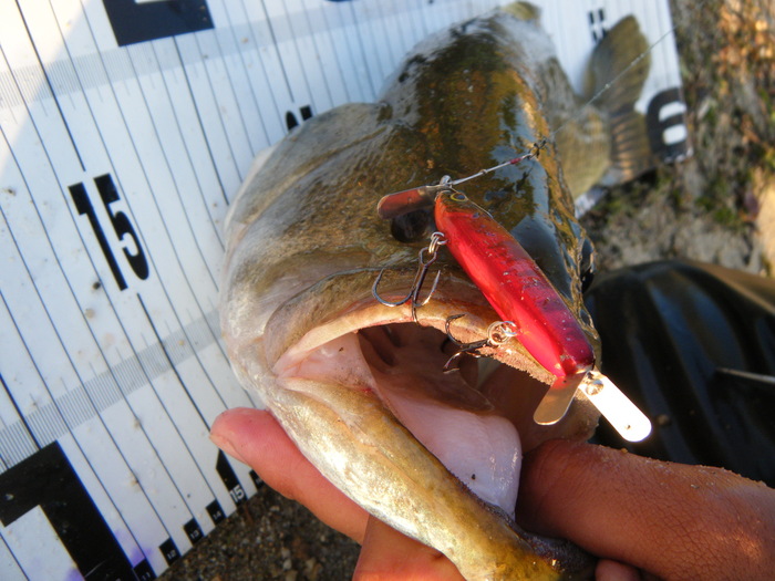 釣果情報_a0040876_0334913.jpg