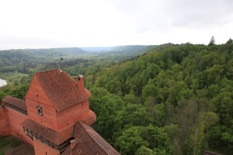 c0187779_7344228.jpg