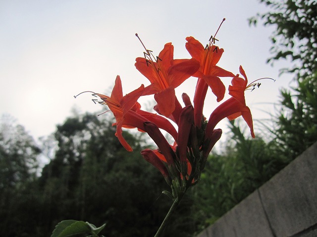 b0182884_22401674.jpg