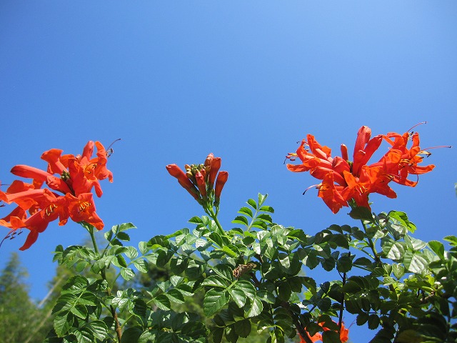 b0182884_22405129.jpg