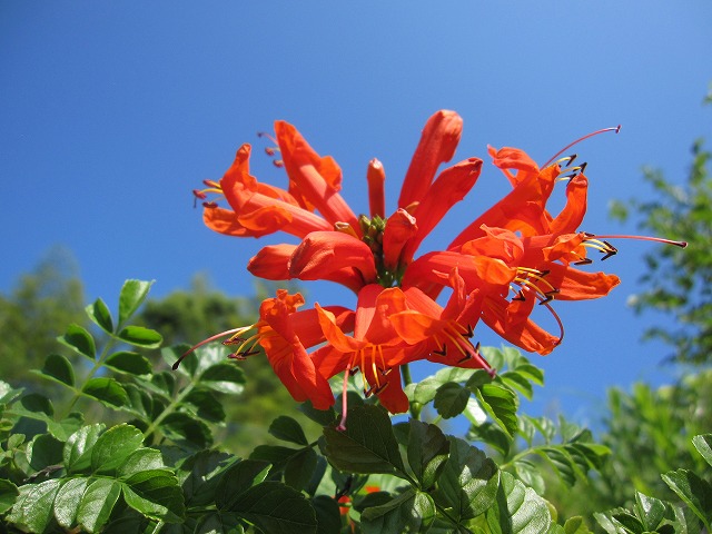 b0182884_2241798.jpg