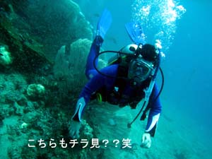 リベンジ、ピピオーバーナイト♪_f0144385_20382279.jpg