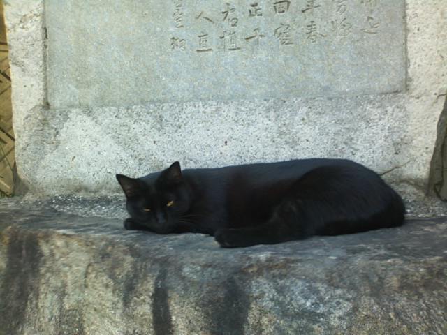 f0077595_17465062.jpg