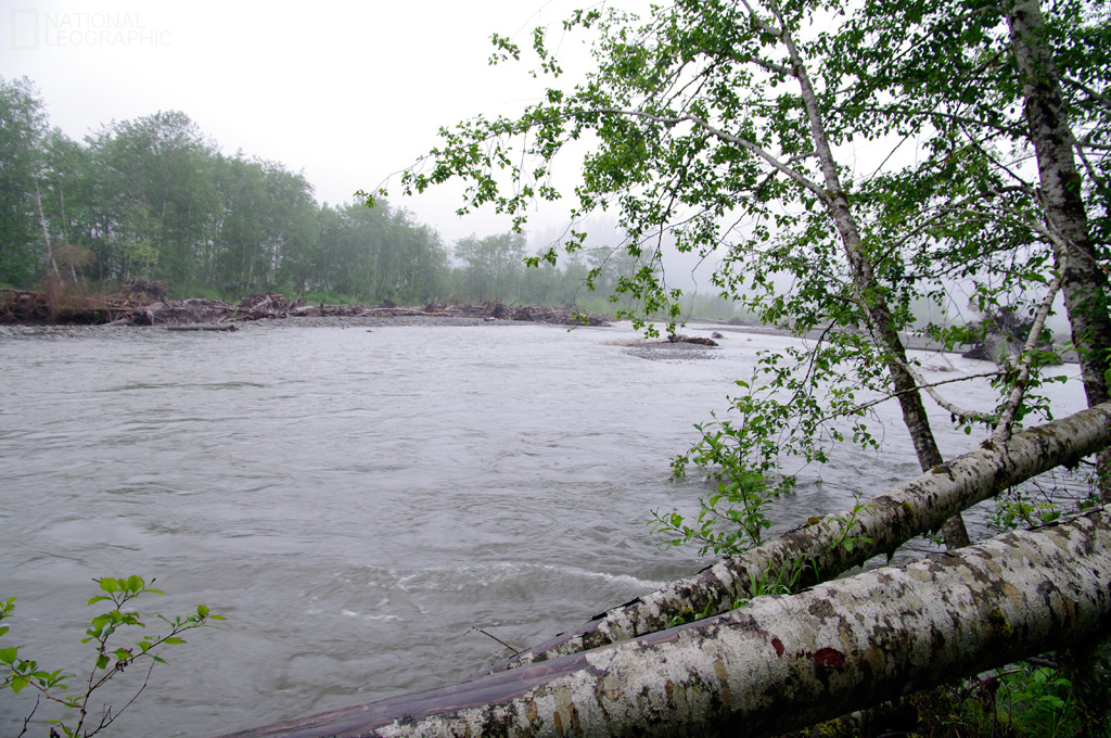 c0080101_10223692.jpg