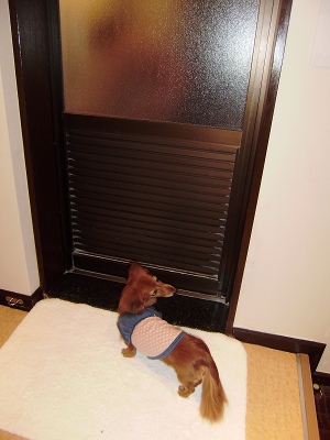e0090501_8594991.jpg