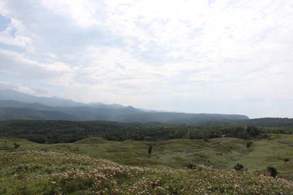 a0149502_11475263.jpg