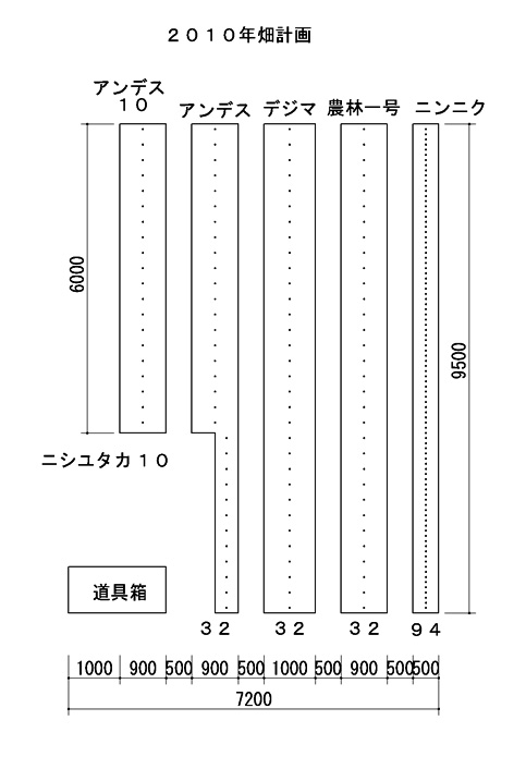 秋ジャガ始動。。。。_e0065906_74578.jpg