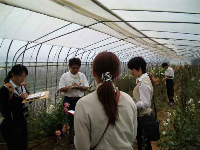 大喜び?_d0099708_14584041.jpg