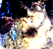 e0103408_12522152.gif
