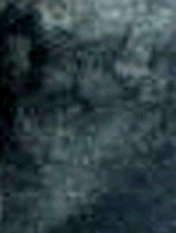 e0103408_1362739.gif