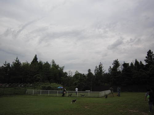 a0098513_218188.jpg
