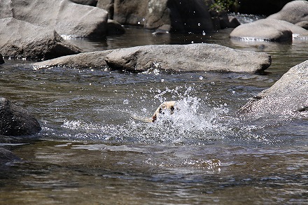 f0191413_10373331.jpg