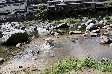 f0191413_10512739.jpg