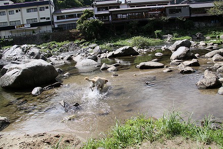 香嵐渓で川遊び_f0191413_10512739.jpg