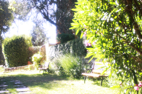 Grasse「La Bastide Saint Antoine」1_d0063314_1133378.jpg