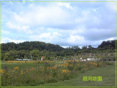 d0126721_20472687.jpg