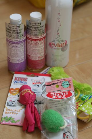 ドンキ閉店と聞いて お昼寝ねこねこの日々 ドンキ閉店と聞いて お昼寝ねこねこの日々