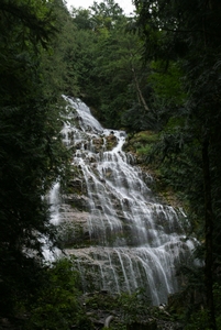 a0058532_15321011.jpg