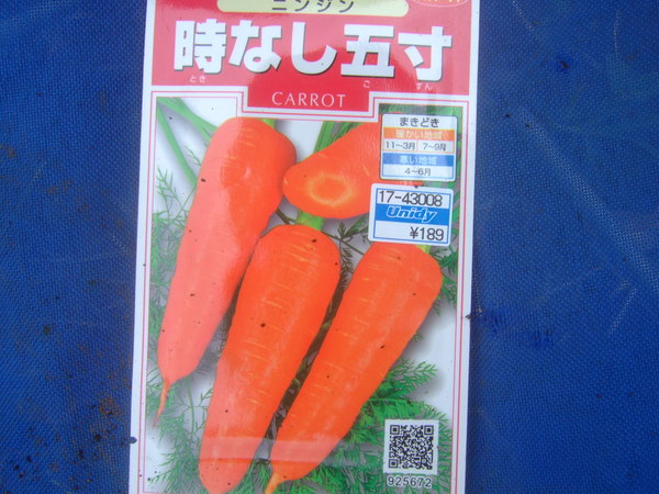 種まき......発芽が心配です。_b0137932_23255449.jpg