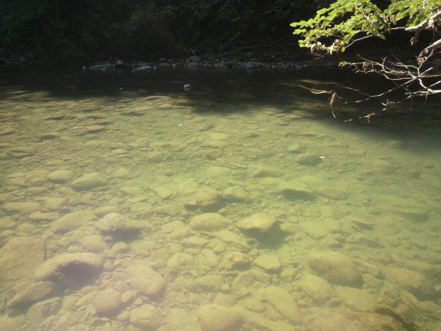 ざっくり釣り_e0173533_10131215.jpg
