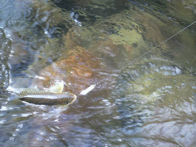 ざっくり釣り_e0173533_14345336.jpg