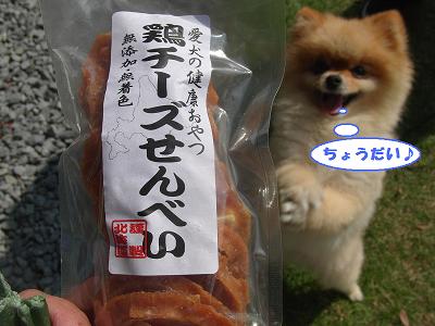 f0186040_0525798.jpg