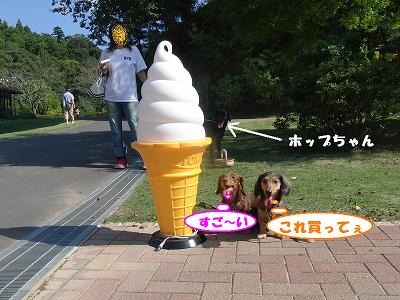 f0186040_1393370.jpg