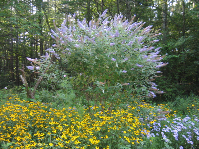 e0082045_18512131.jpg