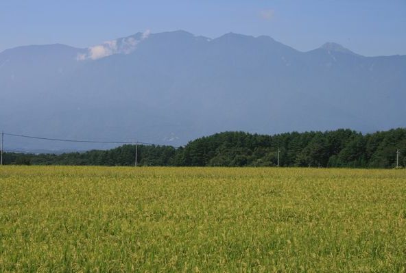 e0082045_18575214.jpg