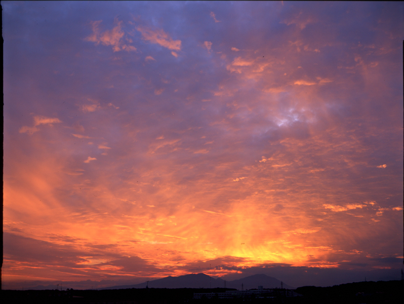 August 2010, Tomakomai_c0196247_444728.jpg