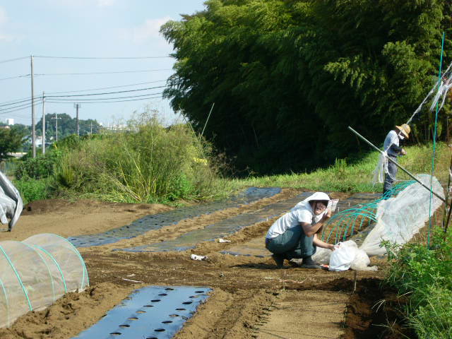 c0222448_15168.jpg