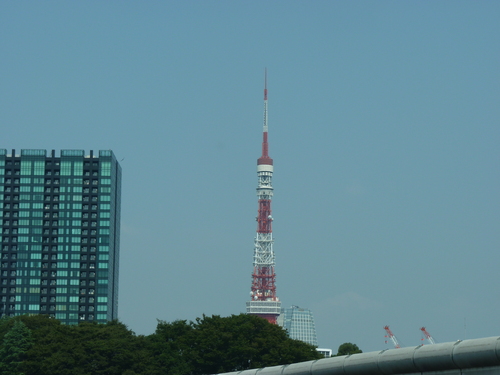 カマキリが！_d0173057_20282177.jpg