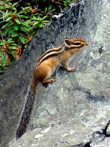 b0165760_1112272.jpg