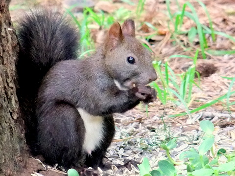b0165760_1213137.jpg