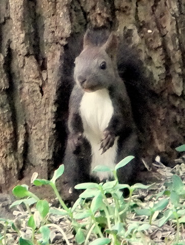 b0165760_1261684.jpg