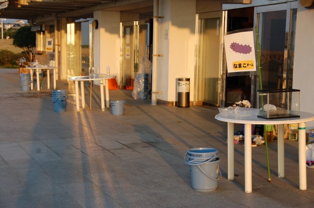 c0108460_21717.jpg
