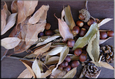 Acorns とは_f0215262_19464090.jpg