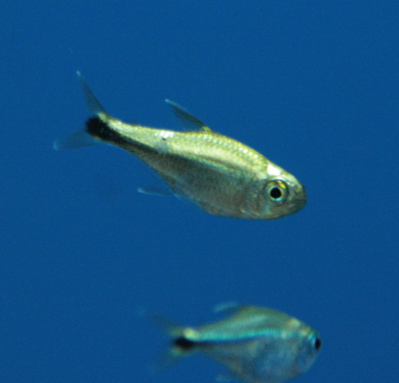 a0162263_22273584.jpg