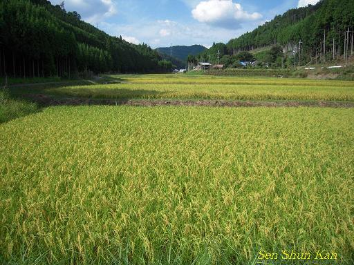 山里では秋の気配_a0164068_12332567.jpg