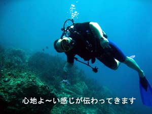 癒しのダイビングへ、お帰りなさ~い_f0144385_20283441.jpg