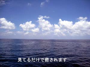 癒しのダイビングへ、お帰りなさ~い_f0144385_20291441.jpg