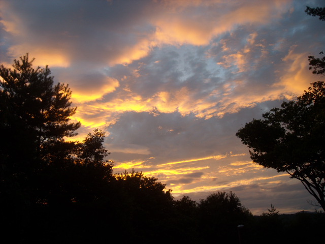e0174586_012597.jpg