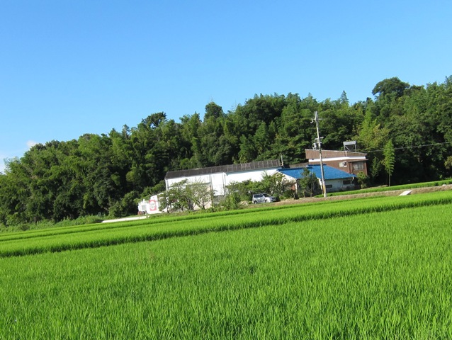 「花鳥風月倶楽部　柿屋」　　加古川市八幡町上西条交差点近く_f0106190_18315111.jpg