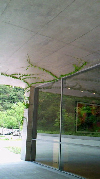 a0107792_211909.jpg