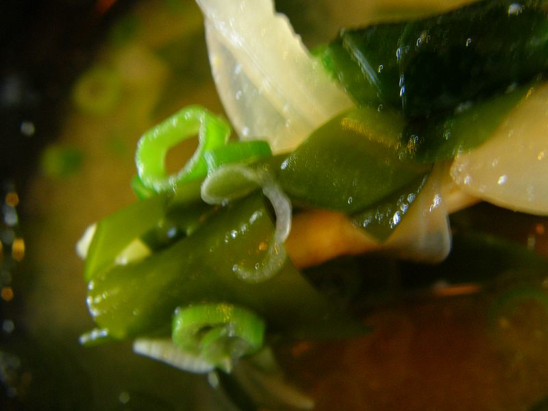 c0118393_10405457.jpg