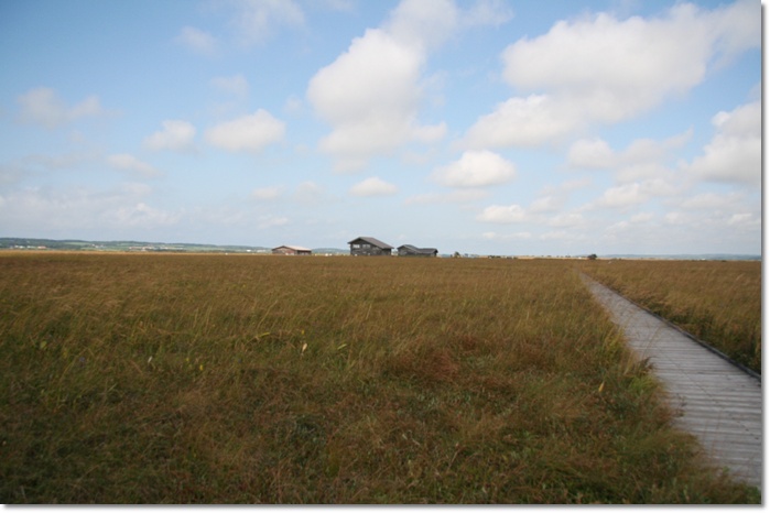 f0146493_2061330.jpg
